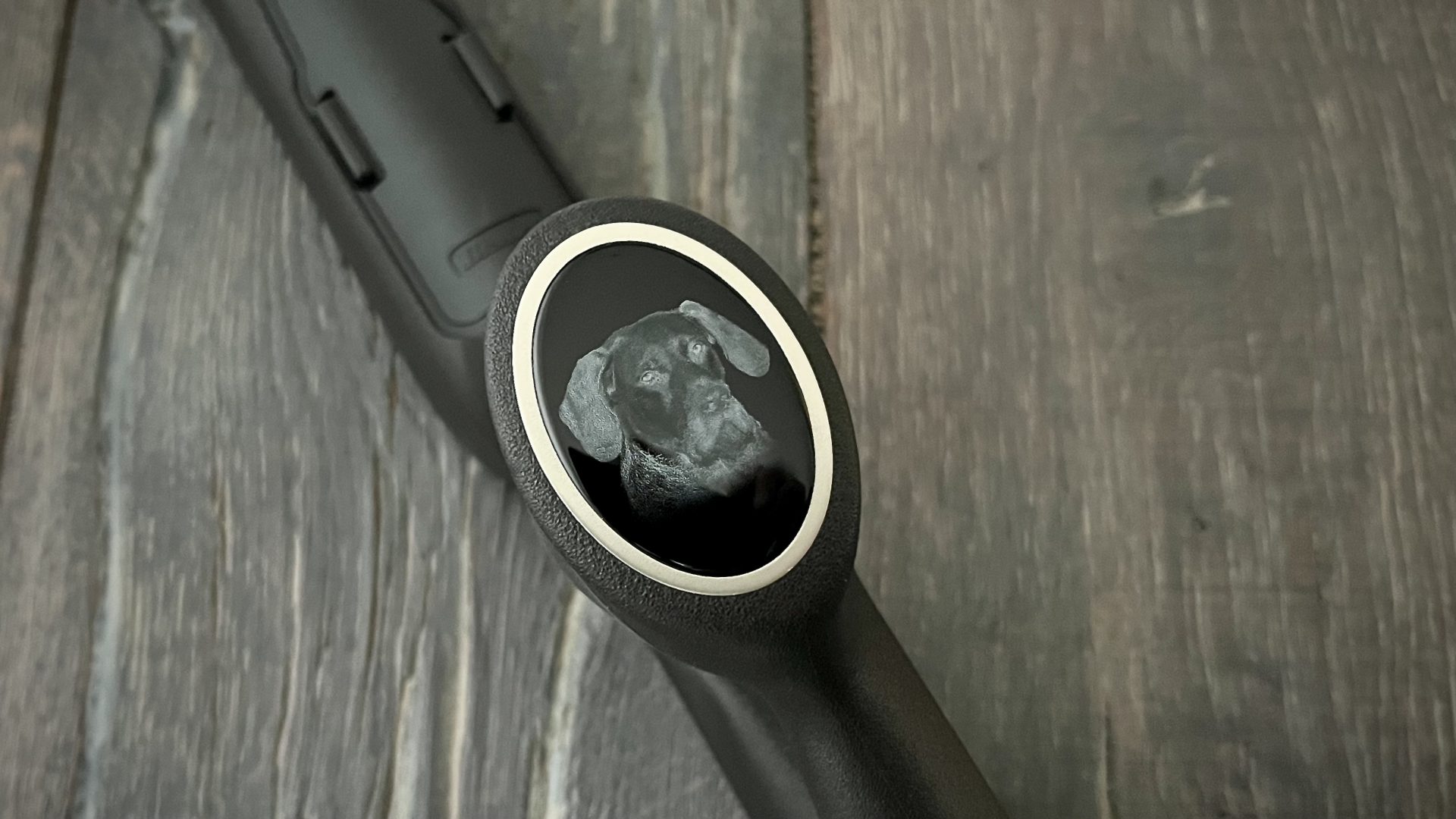 Pistolengriffkäppchen-R8 Professional Success – Drahthaarporträt
