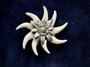 jagdabzeichen fuchsrad